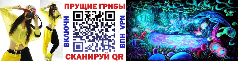 Галлюциногенные грибы MAGIC MUSHROOMS  Шуя 